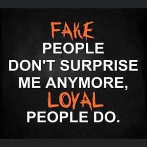 Meet your Posher, Katt